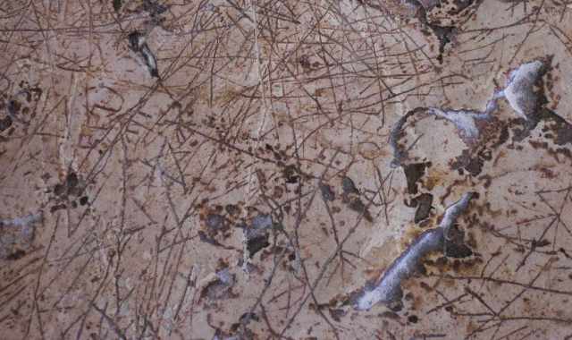 Spinazzola, quel "racconto" inciso 5mila anni fa su una roccia: Sito unico, ma non tutelato